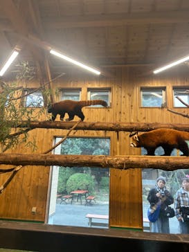 伊豆シャボテン動物公園に投稿された画像（2024/11/11）