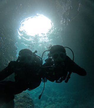 沖縄マリンサービス碧に投稿された画像（2024/11/11）