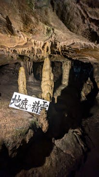 あぶくま洞に投稿された画像（2024/11/11）