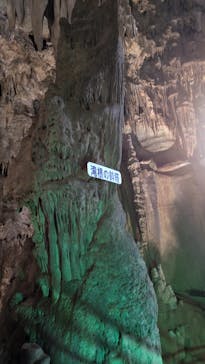 あぶくま洞に投稿された画像（2024/11/11）