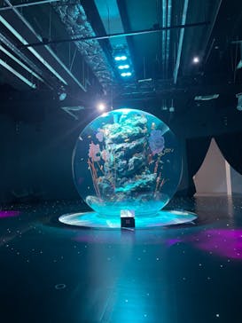 AQUARIUM × ART　atoaに投稿された画像（2024/11/11）