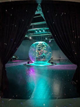 AQUARIUM × ART　atoaに投稿された画像（2024/11/11）