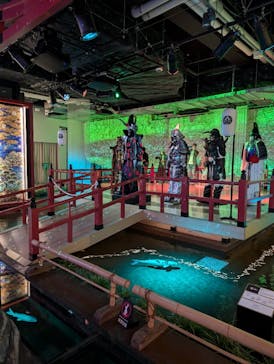 AQUARIUM × ART　atoaに投稿された画像（2024/11/11）
