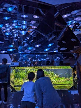AQUARIUM × ART　atoaに投稿された画像（2024/11/11）