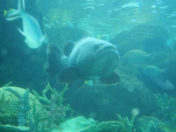 名古屋港水族館に投稿された画像（2024/11/11）