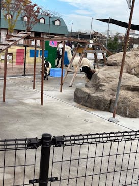 あらかわ遊園に投稿された画像（2024/11/11）