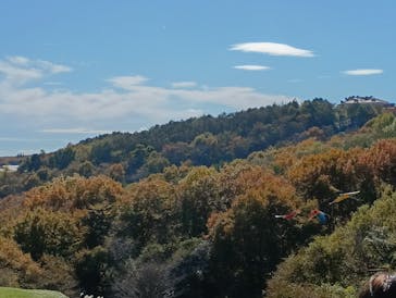 那須どうぶつ王国に投稿された画像（2024/11/11）