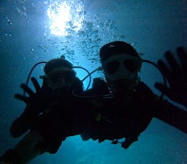 沖縄マリンサービス碧に投稿された画像（2024/11/11）