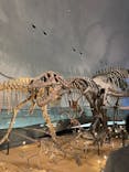 福井県立恐竜博物館に投稿された画像（2024/11/11）