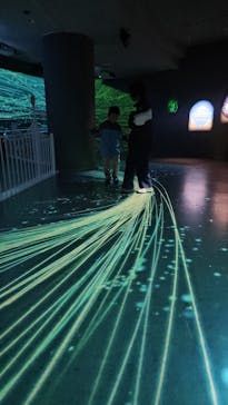 徳島県立 渦の道に投稿された画像（2024/11/11）