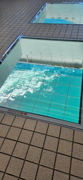 徳島県立 渦の道に投稿された画像（2024/11/11）