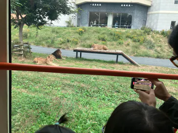 多摩動物公園に投稿された画像（2024/11/11）