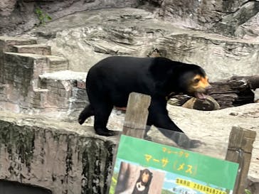 天王寺動物園に投稿された画像（2024/11/11）