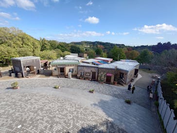 ニジゲンノモリに投稿された画像（2024/11/11）