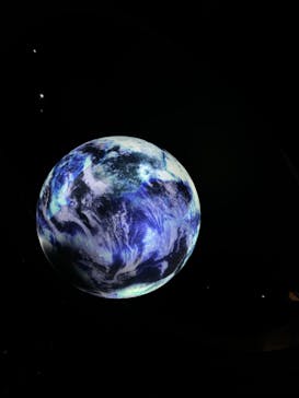 NIFREL（ニフレル）に投稿された画像（2024/11/11）