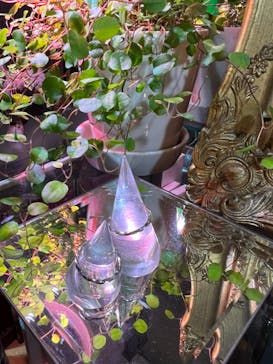 impera accessory（インペラアクセサリー）に投稿された画像（2024/11/11）