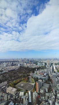 六本木ヒルズ展望台 東京シティビューに投稿された画像（2024/11/11）