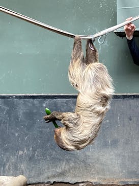 カワスイ 川崎⽔族館に投稿された画像（2024/11/11）