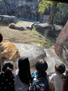 天王寺動物園に投稿された画像（2024/11/11）