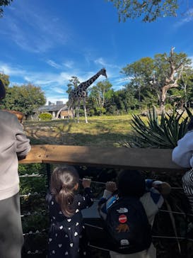 天王寺動物園に投稿された画像（2024/11/11）