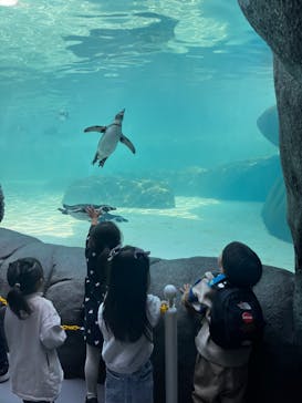 天王寺動物園に投稿された画像（2024/11/11）