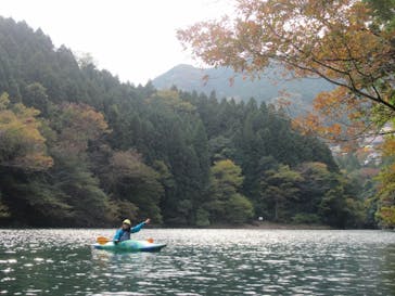 コンセプトに投稿された画像（2024/11/11）