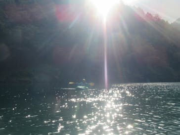 コンセプトに投稿された画像（2024/11/11）