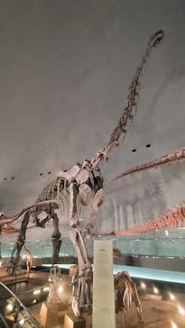 福井県立恐竜博物館に投稿された画像（2024/11/11）