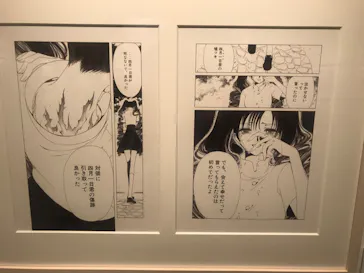 ひらかたパークに投稿された画像（2024/11/11）