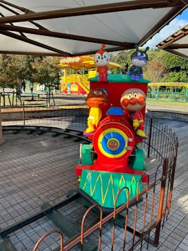 国営ひたち海浜公園プレジャーガーデンに投稿された画像（2024/11/11）