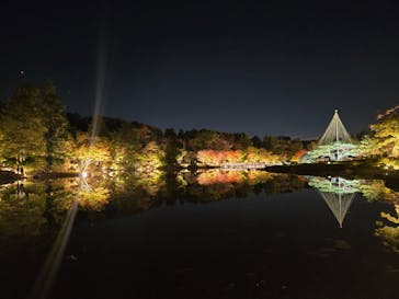 国営昭和記念公園 秋の夜散歩に投稿された画像（2024/11/11）