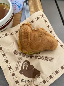 大分マリーンパレス水族館 「うみたまご」に投稿された画像（2024/11/11）