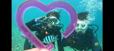 青の洞窟専門店　沖縄ダイビングショップ和に投稿された画像（2024/11/11）