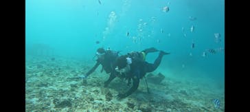 青の洞窟専門店　沖縄ダイビングショップ和に投稿された画像（2024/11/11）