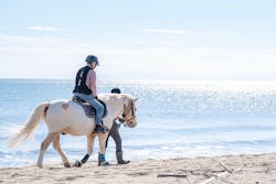 海の乗馬倶楽部　エルカバージョに投稿された画像（2024/11/11）