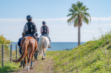 海の乗馬倶楽部　エルカバージョに投稿された画像（2024/11/11）