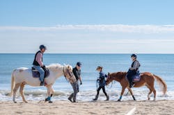 海の乗馬倶楽部　エルカバージョに投稿された画像（2024/11/11）