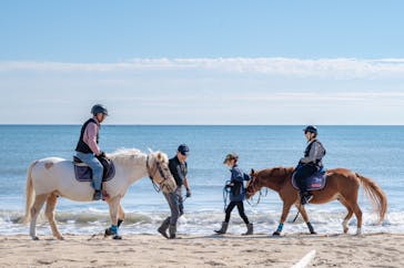 海の乗馬倶楽部　エルカバージョに投稿された画像（2024/11/11）