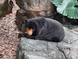 恩賜上野動物園に投稿された画像（2024/11/11）