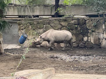 恩賜上野動物園に投稿された画像（2024/11/11）