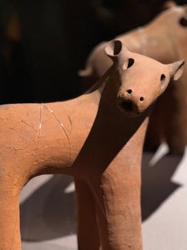 東京国立博物館に投稿された画像（2024/11/11）