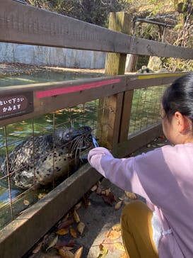 那須どうぶつ王国に投稿された画像（2024/11/11）