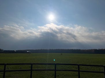 ノーザンホースパークに投稿された画像（2024/11/11）