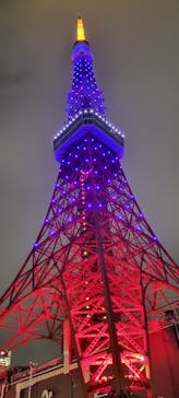 東京タワーに投稿された画像（2024/11/11）