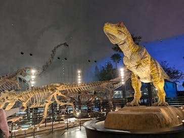 福井県立恐竜博物館に投稿された画像（2024/11/11）