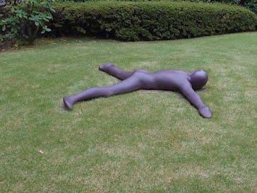 彫刻の森美術館に投稿された画像（2024/11/11）