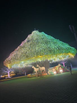 東京メガイルミに投稿された画像（2024/11/11）