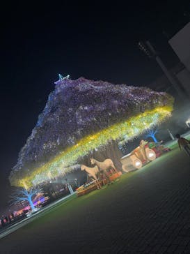 東京メガイルミに投稿された画像（2024/11/11）