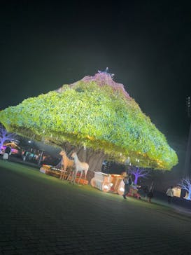 東京メガイルミに投稿された画像（2024/11/11）