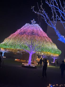 東京メガイルミに投稿された画像（2024/11/11）